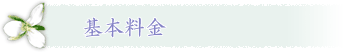 全国仲人連合会　阪急西宮北口支部　基本料金